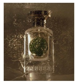 Hybride gaya vert 75 ml - Anfas Livraison gratuite et conseils!