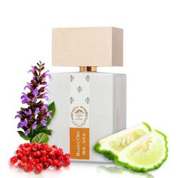 Bianco gull - Giardini di Toscana Gratis frakt!