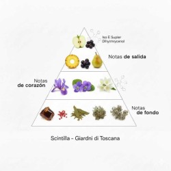 Scinttilla - Giardini di Toscana Livraison gratuite!