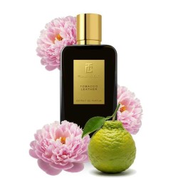 Toni Cabal - Tabaksleer