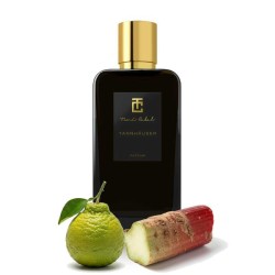 Tannhäuser - Toni Cabal