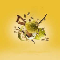 Erba Gold - Xerjoff Gratis advies en zendingen!