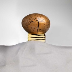 Golden pulver - The House Of Oud