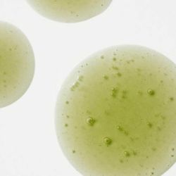 Facial Night Oil 30 ml - Olevi