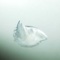 Neck Cream 50 ml - Olevi