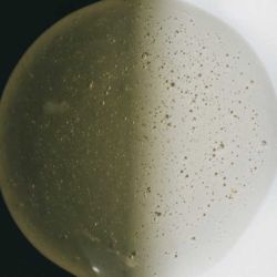 Facial Chemical Peeling 50 ml - Olevi