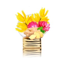 Rubinrot - The House Of Oud