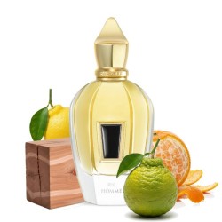 Homme - Xerjoff Free advice and shipments!