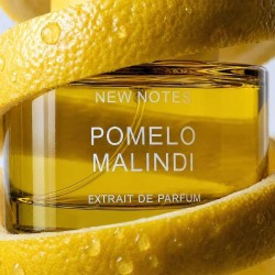 Grapefruit Malindi Execait - New Notes Gratis advies en zendingen!
