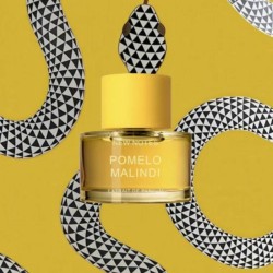 Grapefruit Malindi Execait - New Notes Gratis advies en zendingen!