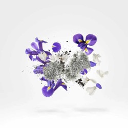 Apollonia - Xerjoff ¡Asesoría y Envíos Gratis!