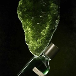 Viride 50 ml - Orto Parisi ¡Asesoría y Envíos Gratis!