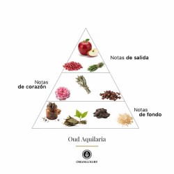 Oud Aquilaria 100 ml - Oman Luxury Gratis forsendelse!