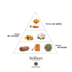 Belfiore 100毫升 Oman Luxury 免费咨询和出货量！