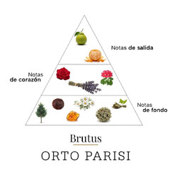 Brutus 50 ml - Orto Parisi