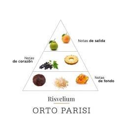 Risvelum 50 ML - Orto Paryż Doradztwo i Darmowa Wysyłka!