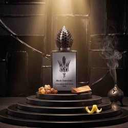 Zwarte edelsteen 50ml - Stephane Humbert Lucas Gratis advies en zendingen!