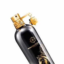 Arabians Tonka - Montale Paris