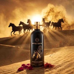 Arabians Tonka - Montale Paris