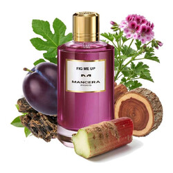 Fig Me Up - Mancera Paris