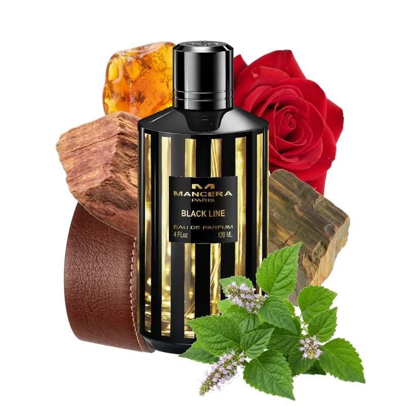 Black Line - Mancera Paris