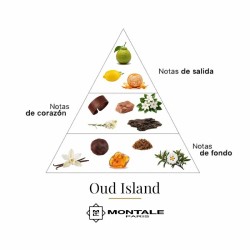 Oud Island 100 ml - Montale Paris Free advice and shipments!