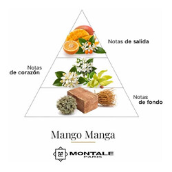 Mango Manga 100 ml - Montale Paris