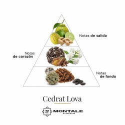 CedRat Lova 100 мл - Montale Paris Бесплатные советы и поставки!