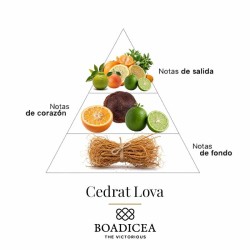 Energizer 100 ml - Boadicea The Victorious ¡Asesoría y Envíos Gratis!