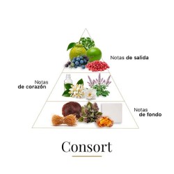 CORSP 100 ml - Boadicea The Victorious Gratis advies en zendingen!
