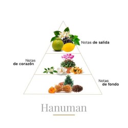 Hanuman Pure Parfum 100 ml - Boadicea The Victorious Aconselhamento gratuito e remessas!