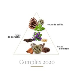 Complex 2020 Pure Parfum 100 ml - Boadicea The Victorious Free advice and shipments!