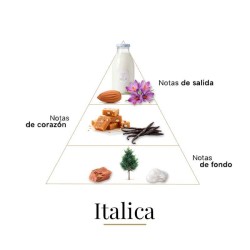 Italica - Casamorati ¡Asesoría y Envíos Gratis!