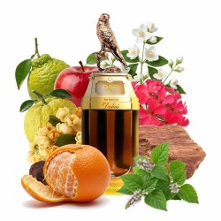 Dubai Baz Cuer EDP 90 ml - O Espírito de Dubai