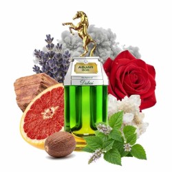 Dubai Abjar Bois EDP 90 ml - Anden av Dubai gratis råd och leveranser!
