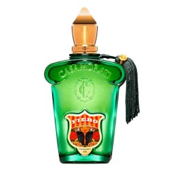 Fiero - Casamorati ¡Asesoría y Envíos Gratis!