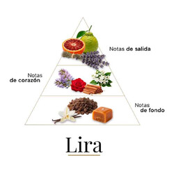Lira - Casamorati