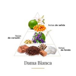Bianca Lady - Casamorati Gratis frakt!