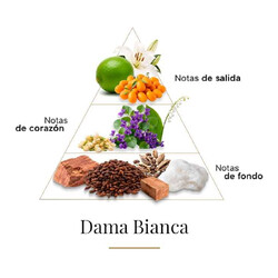 Dama Bianca - Casamorati