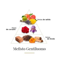 Мефейст Гентилумо - Casamorati Бесплатные советы и поставки!