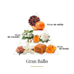 Stor ballon - Casamorati Gratis råd og forsendelser!