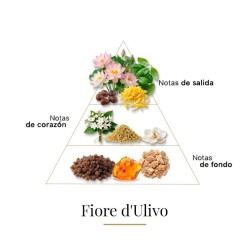 菲奥尔 -  Casamorati 免费咨询和出货量！