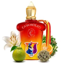 Levar del Sole - Casamorati Free advice and shipments!