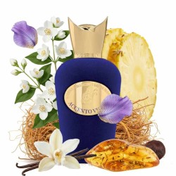 Accento Viola 100 ml - Sospiro ¡Asesoría y Envíos Gratis!