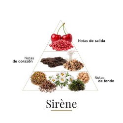 SIRENE 75 ml - Fragrance Du Bois Darmowa porada i przesyłki!