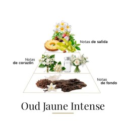 Oud Jaune Intense 100 ml - Fragrance Du Bois Free advice and shipments!