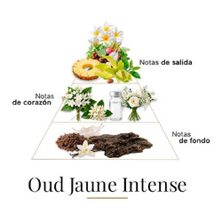 Oud Jaune Intense 100 ml - Fragrance Du Bois