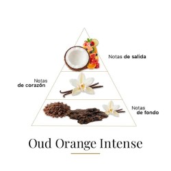 Oud orange intense 100 ml - Fragrance Du Bois Gratis råd og forsendelser!