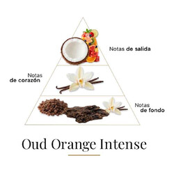 Oud Orange Intense 100 ml - Fragrance Du Bois