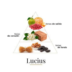 Lucius - Fragrance Du Bois Darmowa porada i przesyłki!